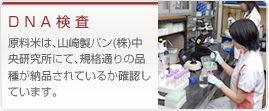 DNA検査 原料米は、山崎製パン(株)中央研究所にて、規格通りの品種が納品されているか確認しています。