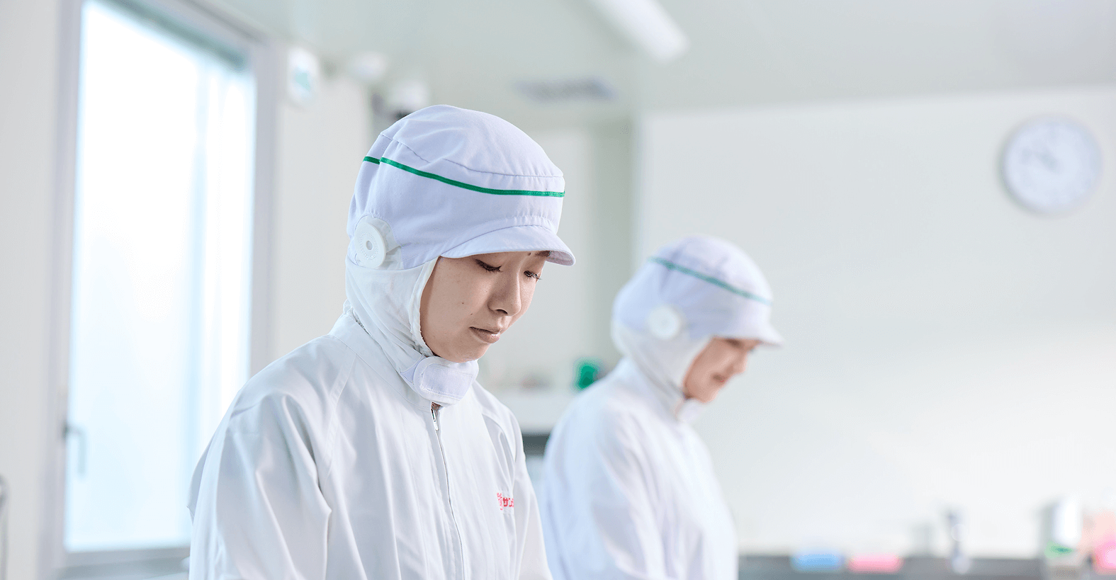 サンデリカについて