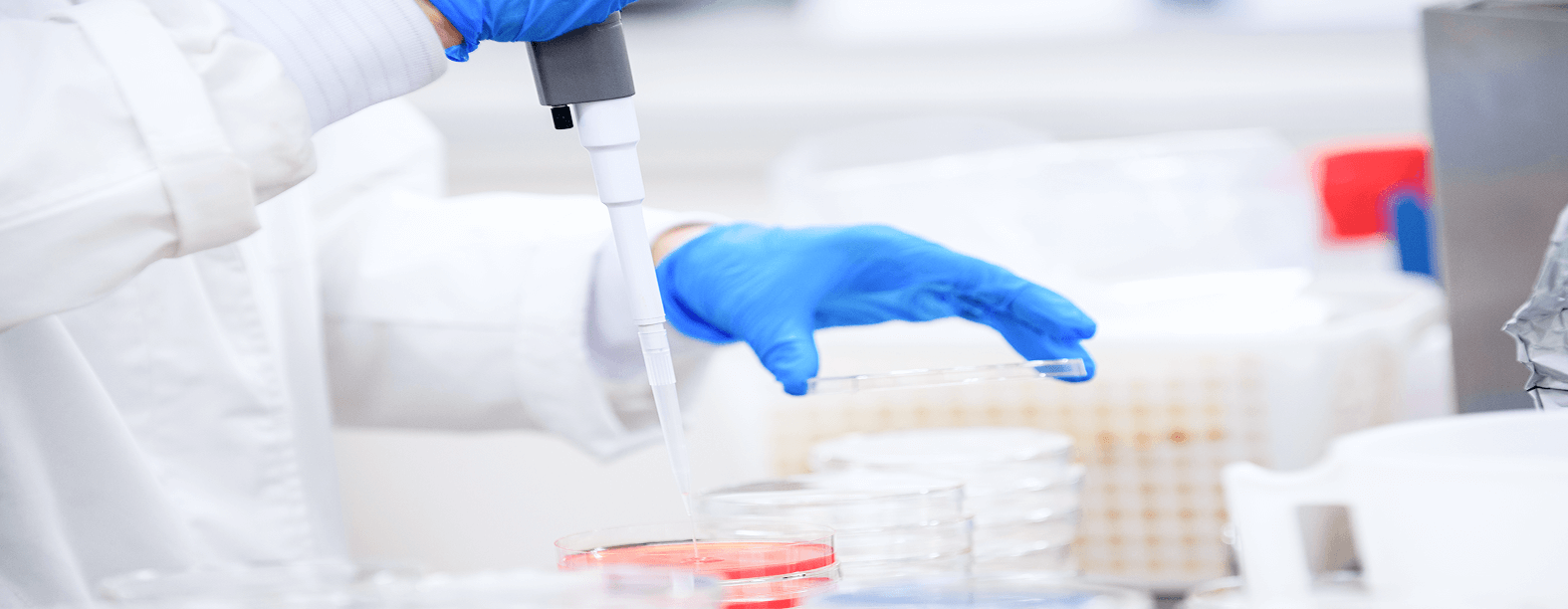 食品安全衛生管理