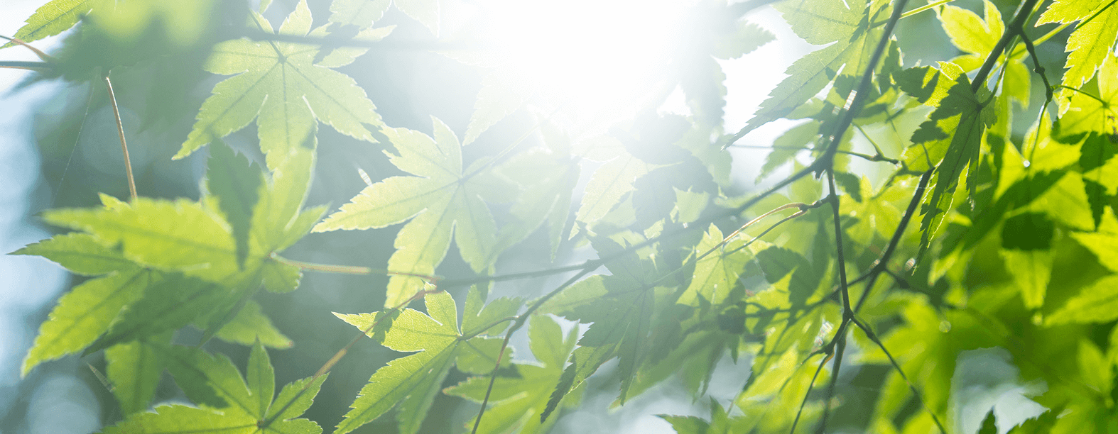 環境への取り組み