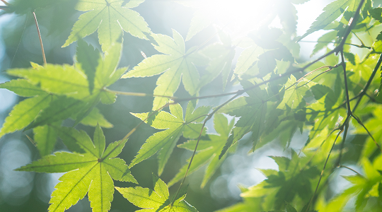 環境への取組み